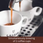 Gaggia Classic Evo Pro Orange RI9481/19 - immagine 3